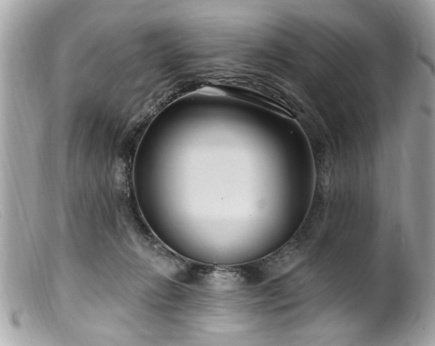 X0000100210270200805301332