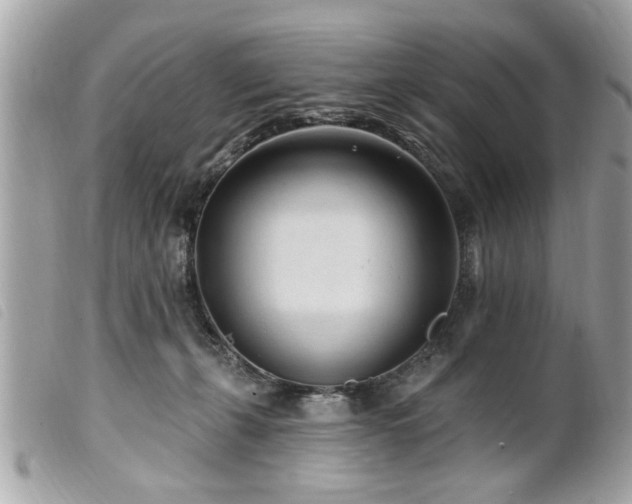 X0000100210271200805301332