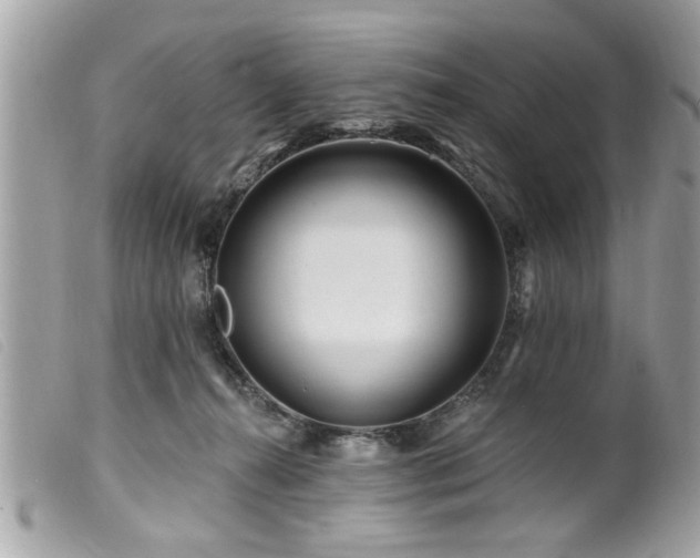 X0000100210272200805301332