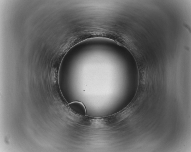 X0000100210273200805301332