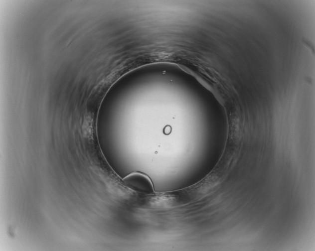 X0000100210274200805301332