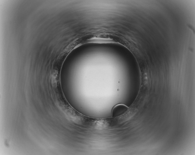 X0000100210275200805301332