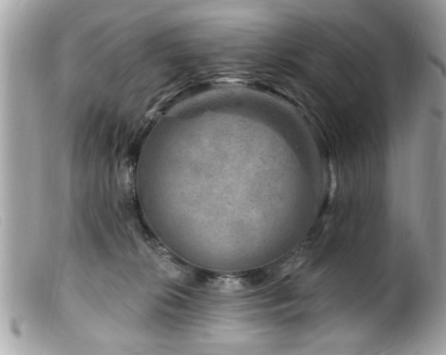 X0000100210276200805301332