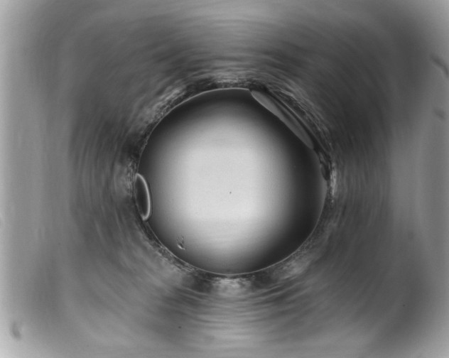 X0000100210277200805301332