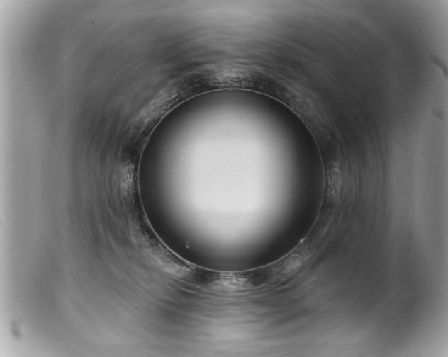 X0000100210278200805301332