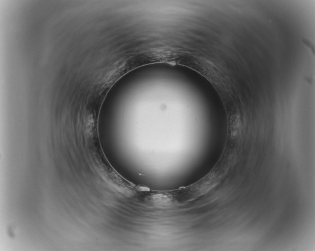 X0000100210279200805301332