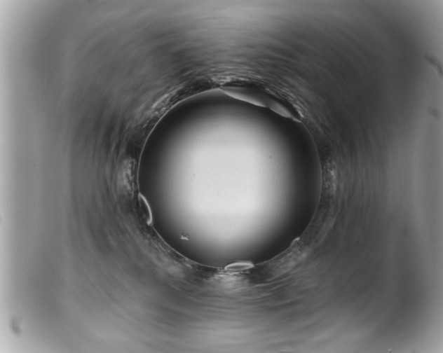 X0000100210280200805301332