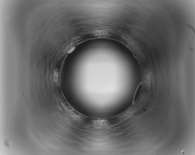 X0000100210281200805301332