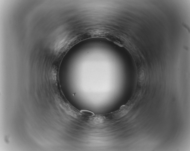 X0000100210282200805301332