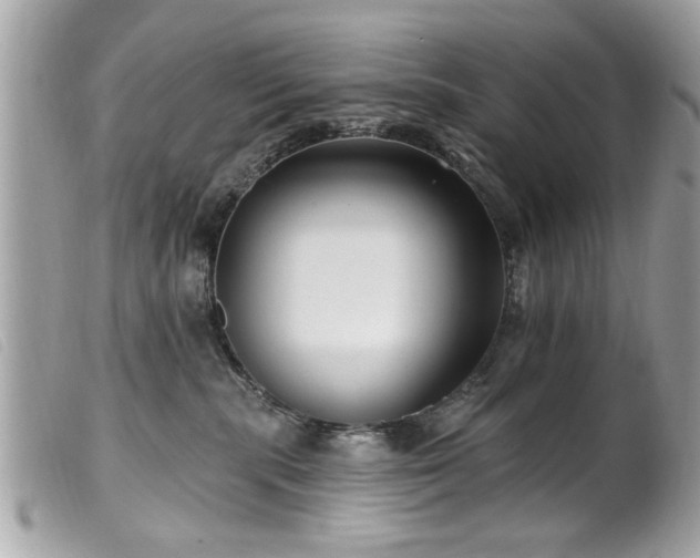 X0000100210283200805301332