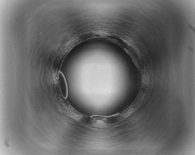 X0000100210285200805301332