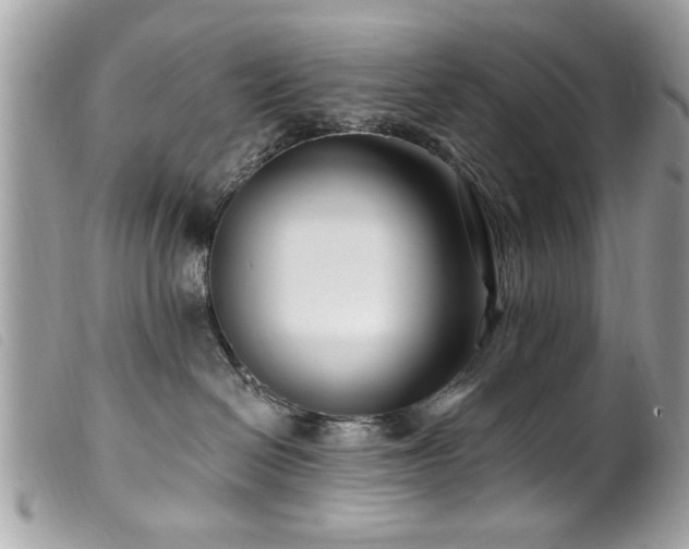 X0000100210286200805301332