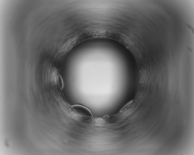 X0000100210287200805301332