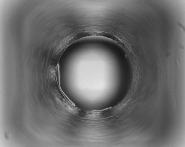 X0000100210288200805301332