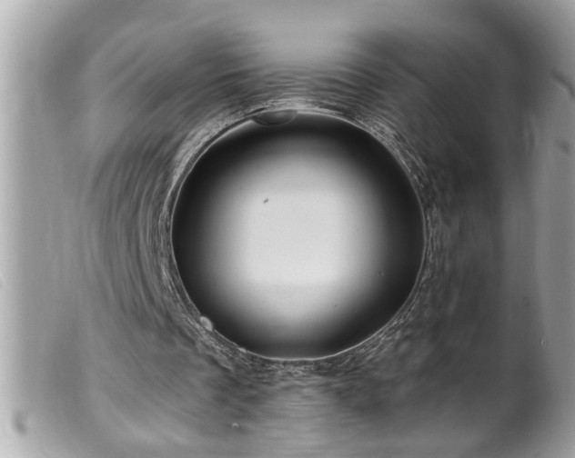 X0000100210289200805301332