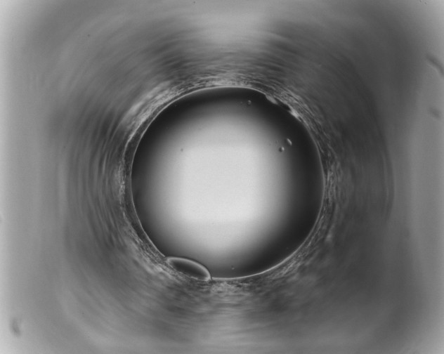 X0000100210290200805301332