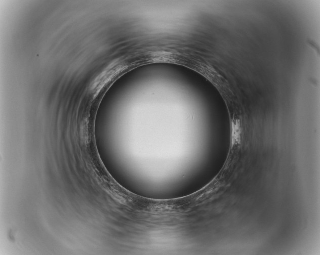 X0000100210291200805301332