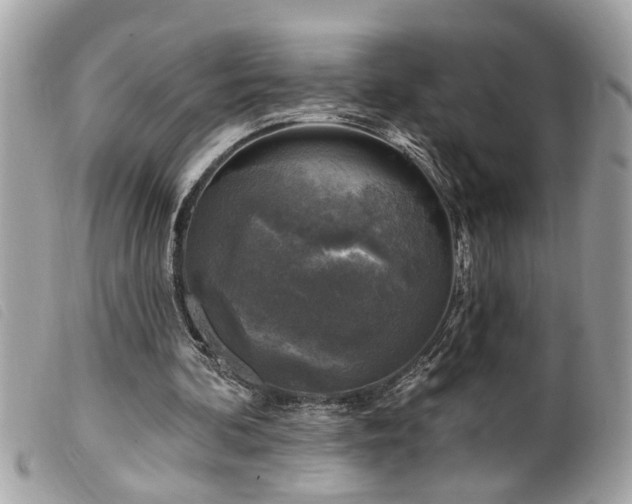 X0000100210292200805301331