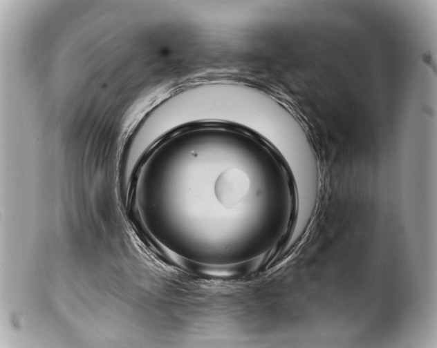 X0000100210293200805301331