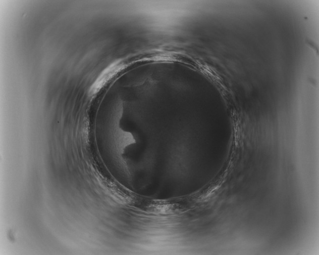 X0000100210295200805301331