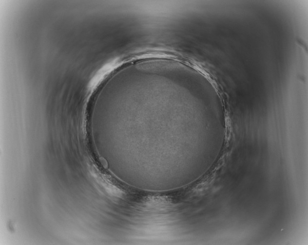 X0000100210296200805301331