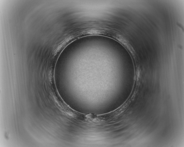 X0000100210297200805301331