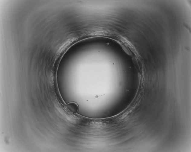 X0000100210298200805301331