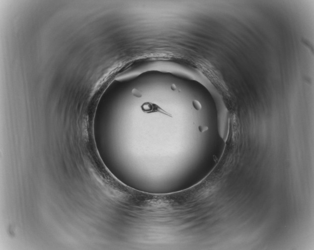 X0000100210300200805301331