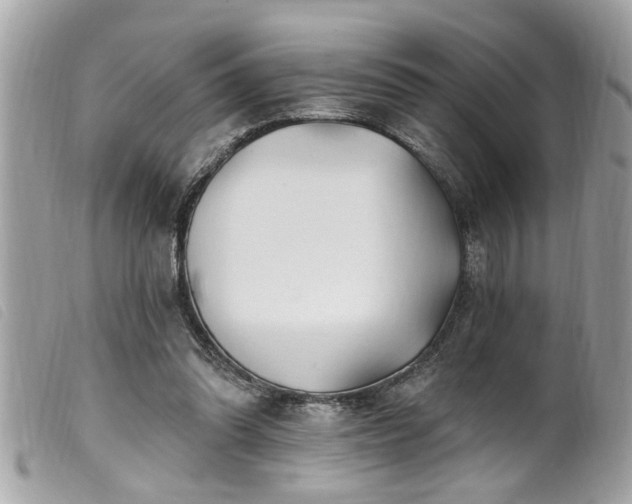 X0000100210302200805301331