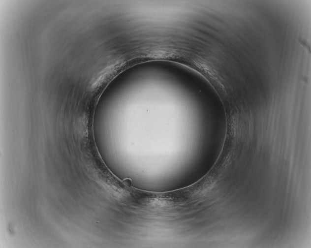 X0000100210303200805301331