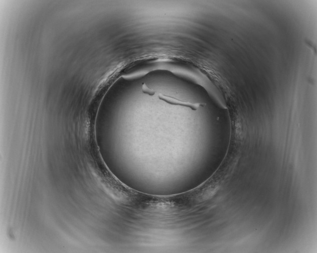 X0000100210304200805301331