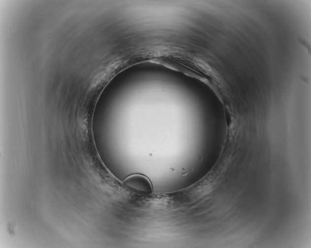 X0000100210306200805301331