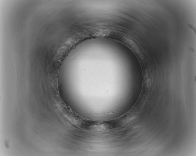 X0000100210307200805301331