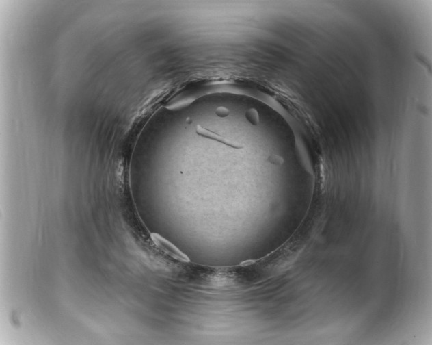 X0000100210308200805301331