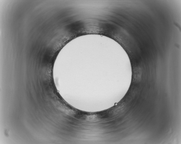 X0000100210309200805301331