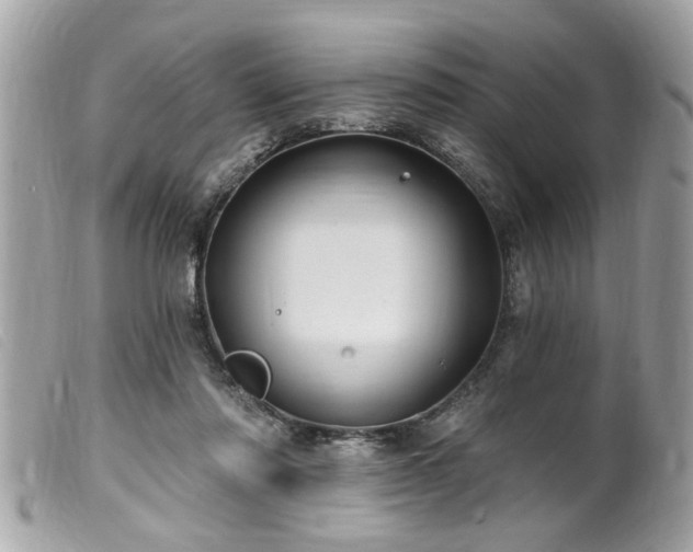 X0000100210310200805301331