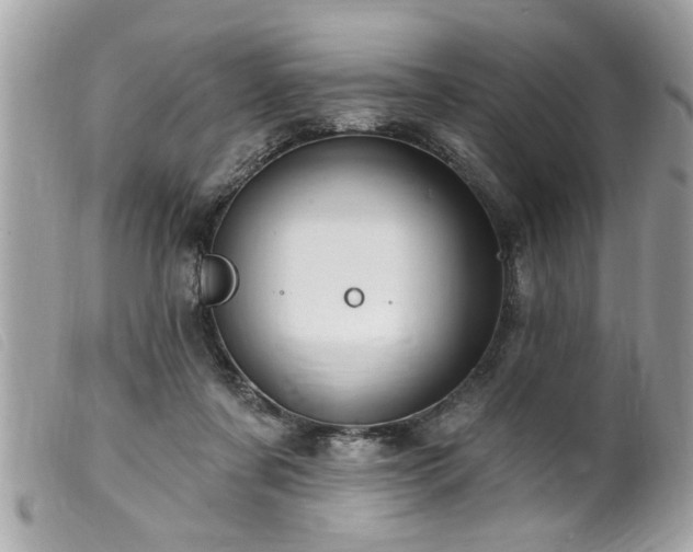 X0000100210311200805301331