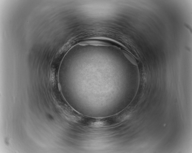 X0000100210312200805301331