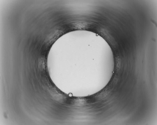 X0000100210313200805301331