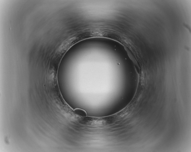 X0000100210314200805301331