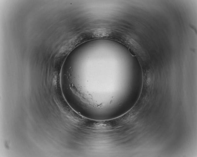 X0000100210315200805301331