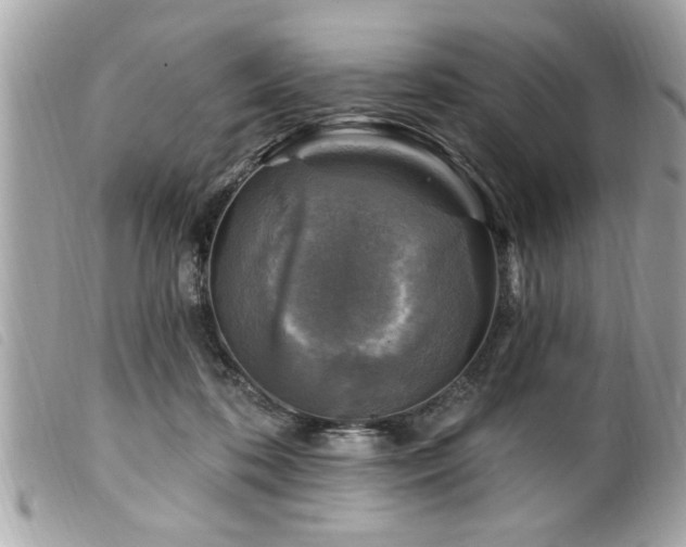 X0000100210316200805301331