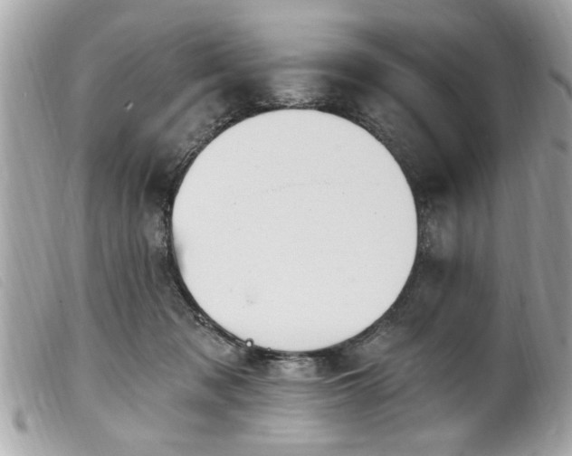 X0000100210317200805301331