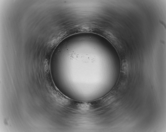 X0000100210318200805301331