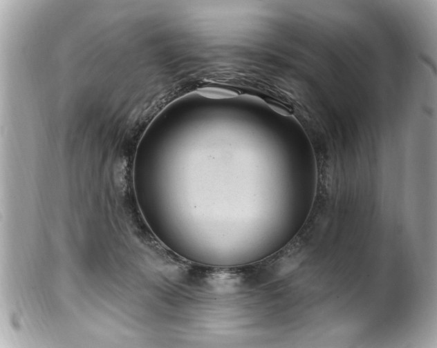 X0000100210319200805301331