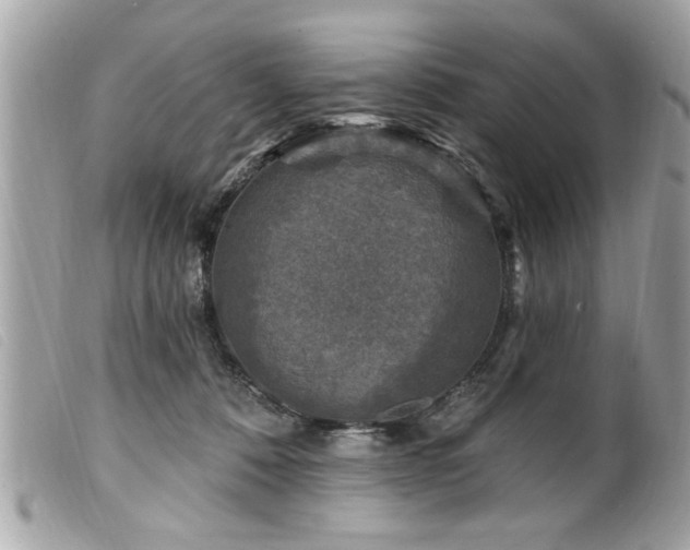 X0000100210320200805301331