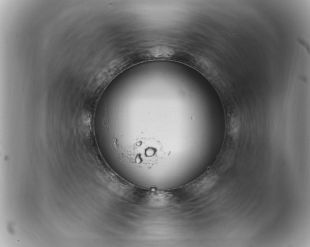 X0000100210321200805301331