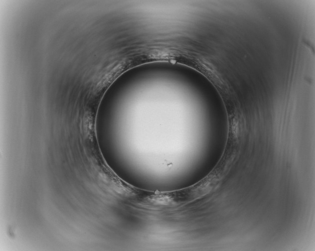 X0000100210322200805301331