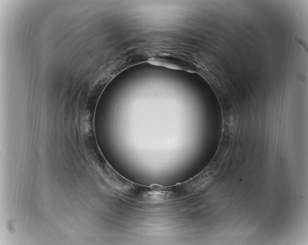 X0000100210323200805301331