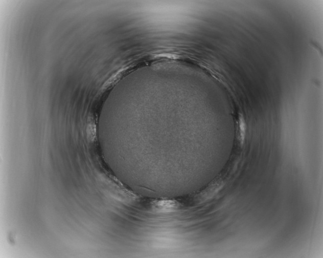 X0000100210324200805301331